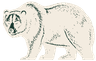 Bear Claims logo