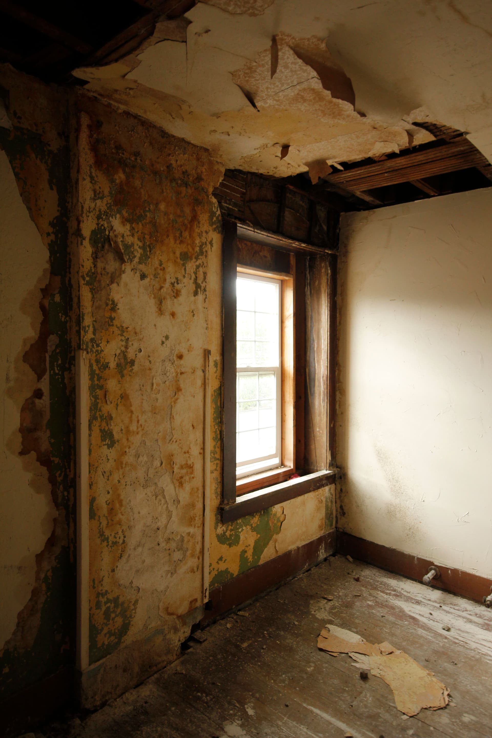 Water and mold damage to interior walls and ceiling